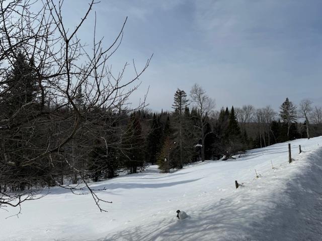 Listing photo 2 for Collinsville Rd, Craftsbury VT 05826