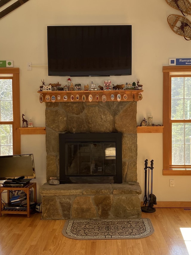 details featuring baseboards, wood finished floors, and a stone fireplace