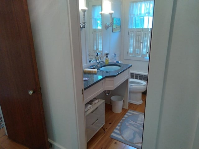 bathroom with vanity, toilet, and wood finished floors