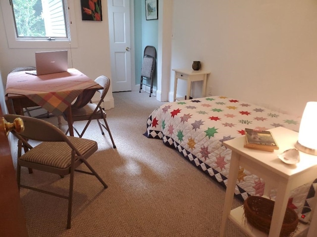 bedroom featuring carpet