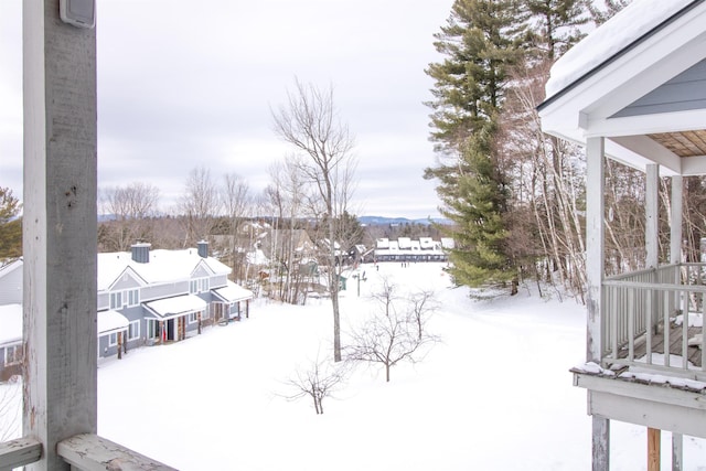 view of yard covered in snow