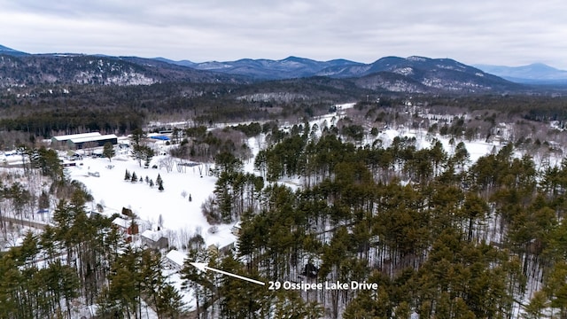 property view of mountains