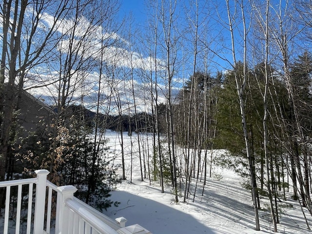 view of yard covered in snow