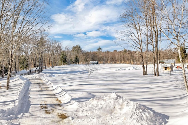 view of yard covered in snow