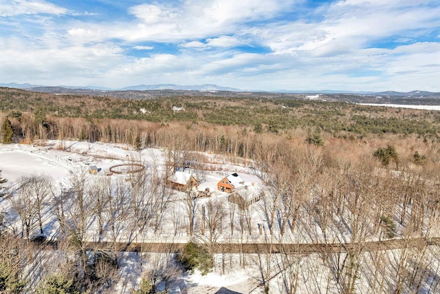 property view of mountains