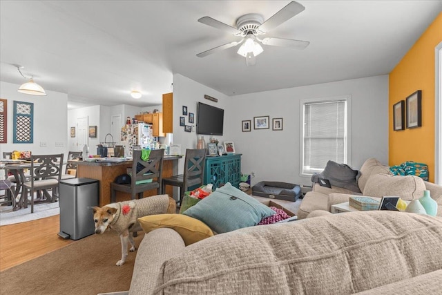 living room featuring a ceiling fan and wood finished floors