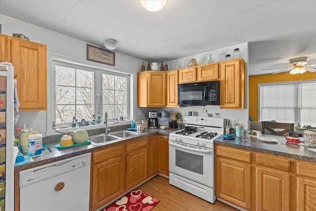 kitchen with ceiling fan, white appliances, a sink, light wood-type flooring, and dark countertops