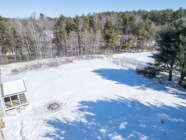 view of yard layered in snow