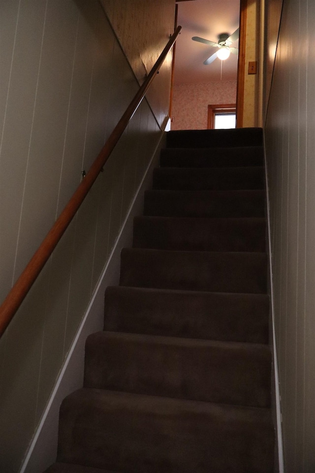 stairs featuring wood walls and a ceiling fan