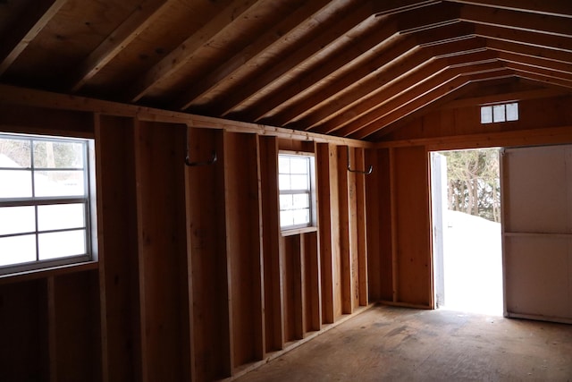 miscellaneous room featuring vaulted ceiling