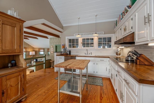 kitchen featuring white cabinets, hanging light fixtures, a sink, and stainless steel dishwasher