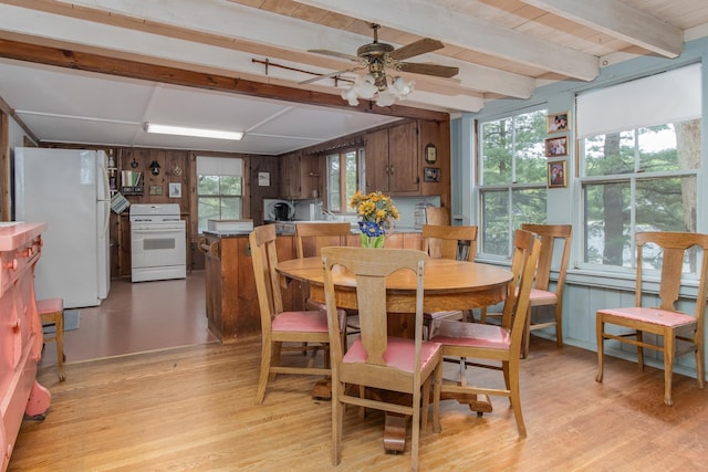 dining space featuring a ceiling fan, wood walls, beam ceiling, and light wood-style floors