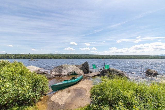 property view of water