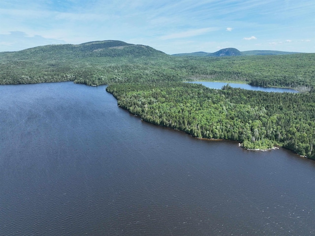 drone / aerial view featuring a wooded view and a water and mountain view