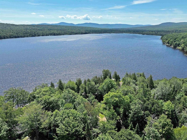 water view with a mountain view and a view of trees