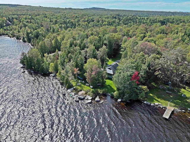 drone / aerial view with a water view and a wooded view