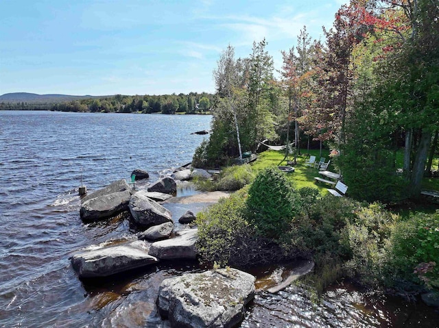 water view featuring a view of trees