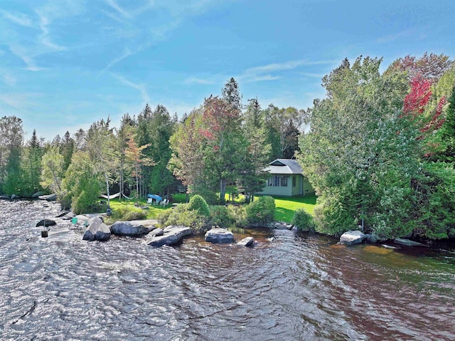 view of yard featuring a water view and a forest view