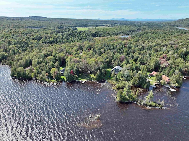 birds eye view of property with a water view and a view of trees