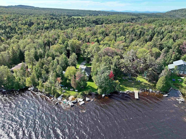 aerial view featuring a water view and a view of trees