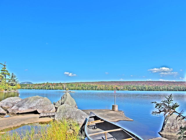 property view of water featuring a wooded view