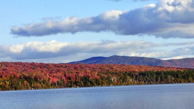 water view featuring a mountain view and a wooded view