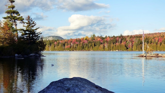 property view of water featuring a forest view