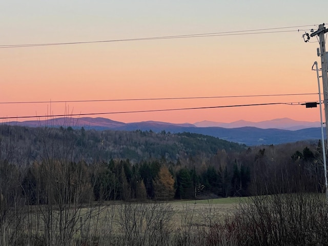 view of mountain feature featuring a forest view