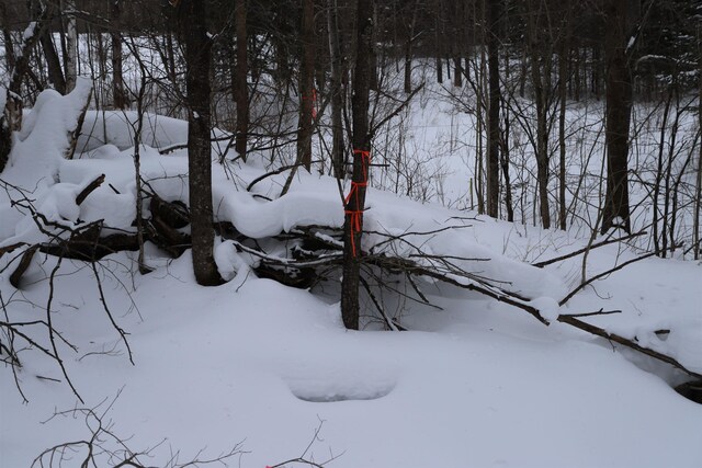 114 Derby Gore Rd, Morgan, VT 05853