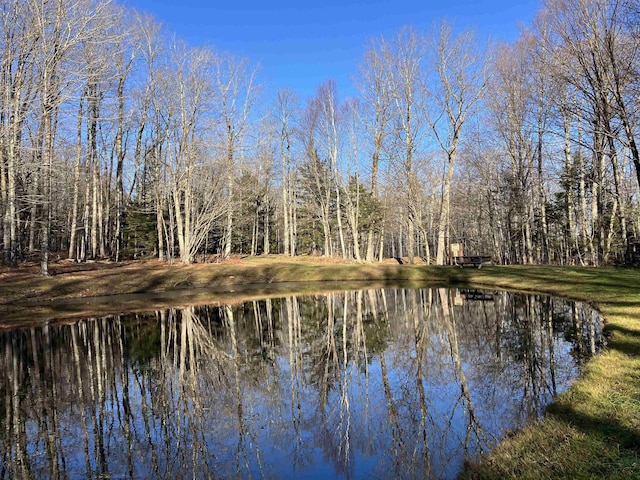 water view featuring a forest view