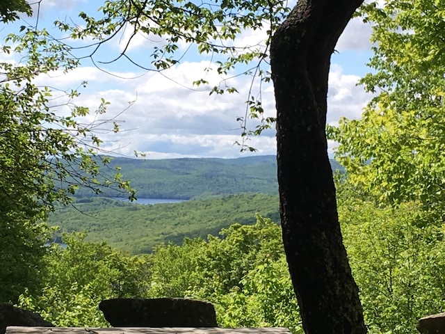 view of mountain feature with a water view and a view of trees