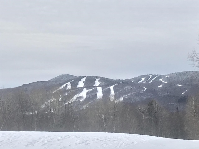 view of mountain feature