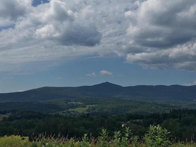 property view of mountains with a view of trees