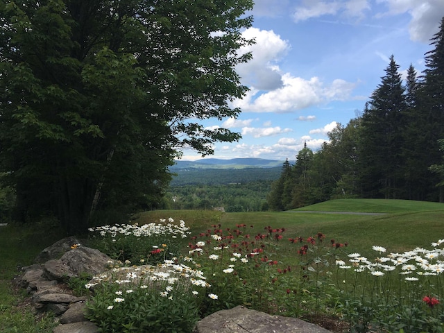 property view of mountains with a forest view