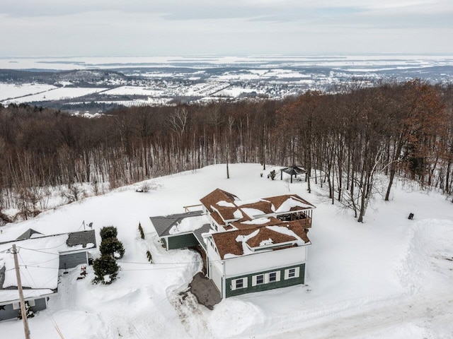 view of snowy aerial view