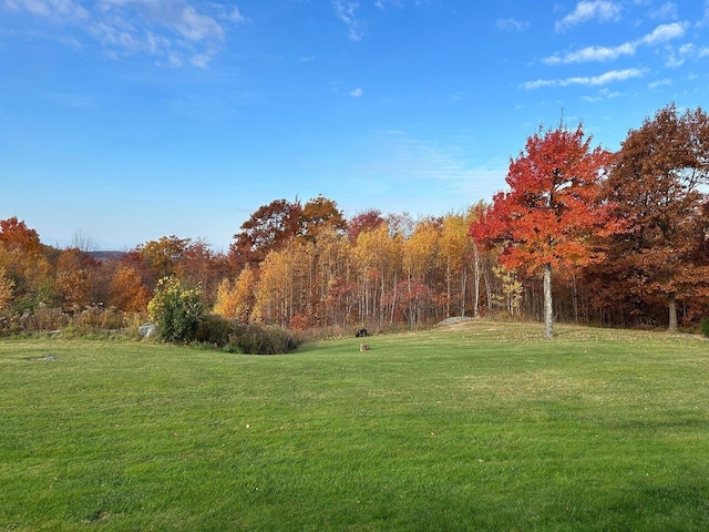 view of community featuring a yard and a forest view