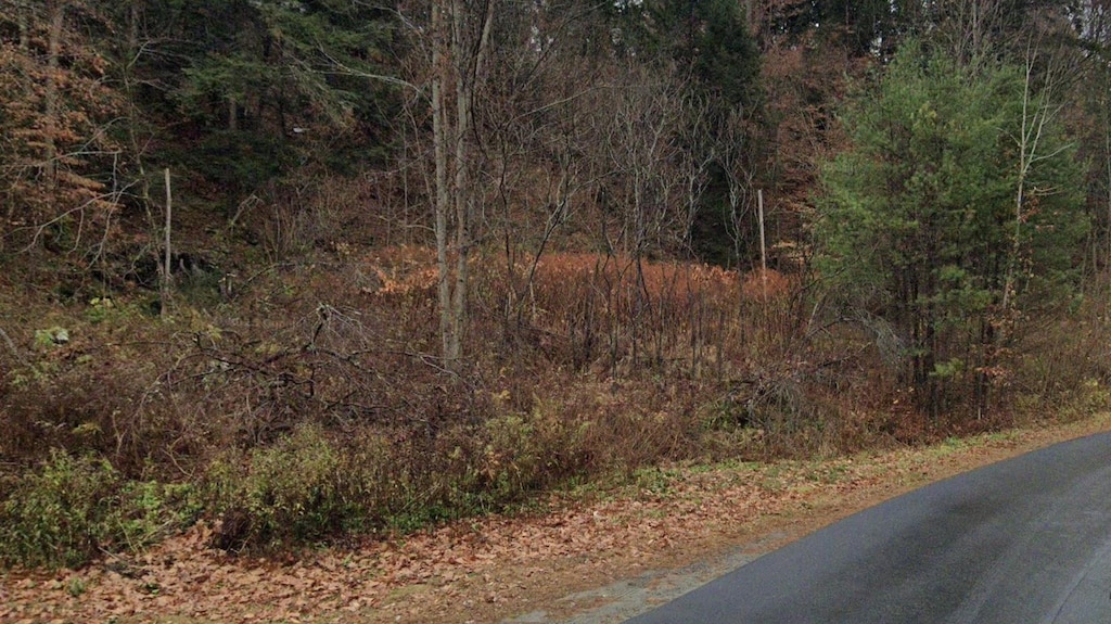 341 Seavers Brook Rd, Springfield, VT 05156