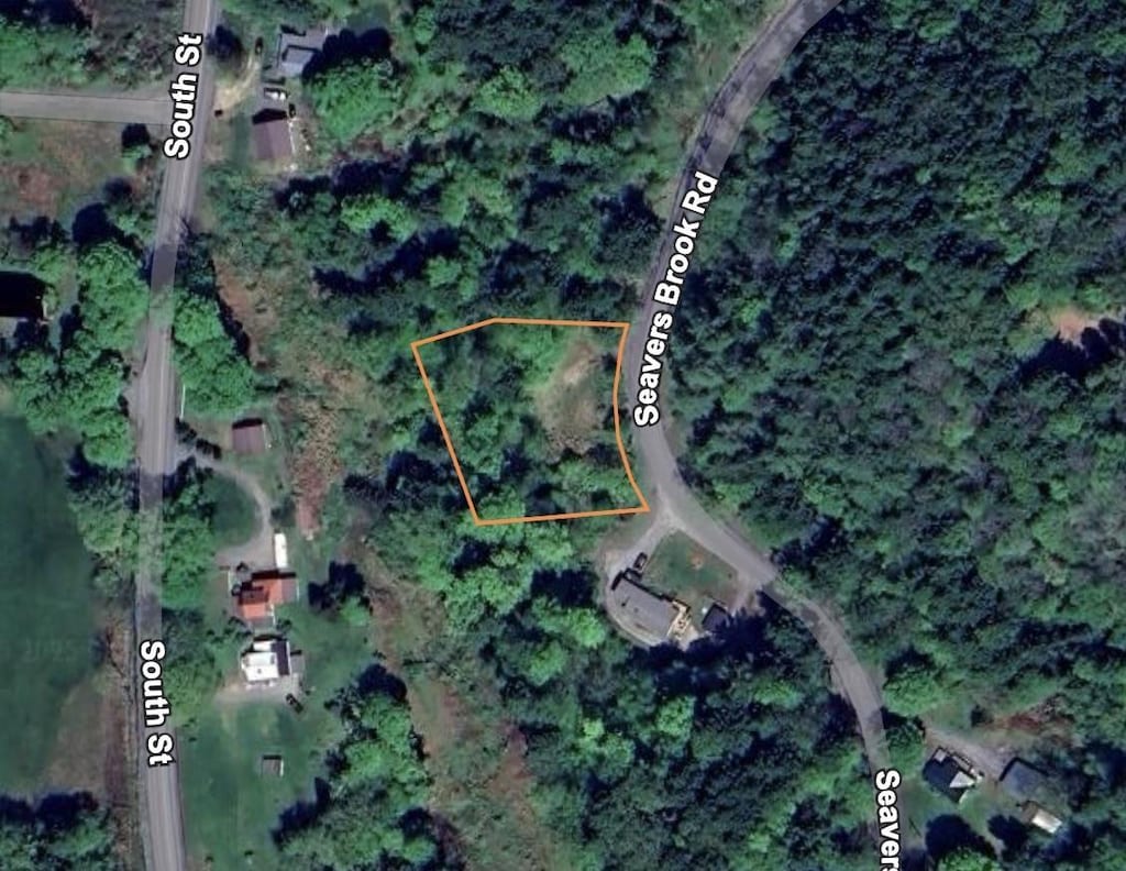341 Seavers Brook Rd, Springfield, VT 05156