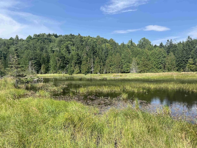 0 Hartwell Pond Rd, Albany VT, 05875 land for sale