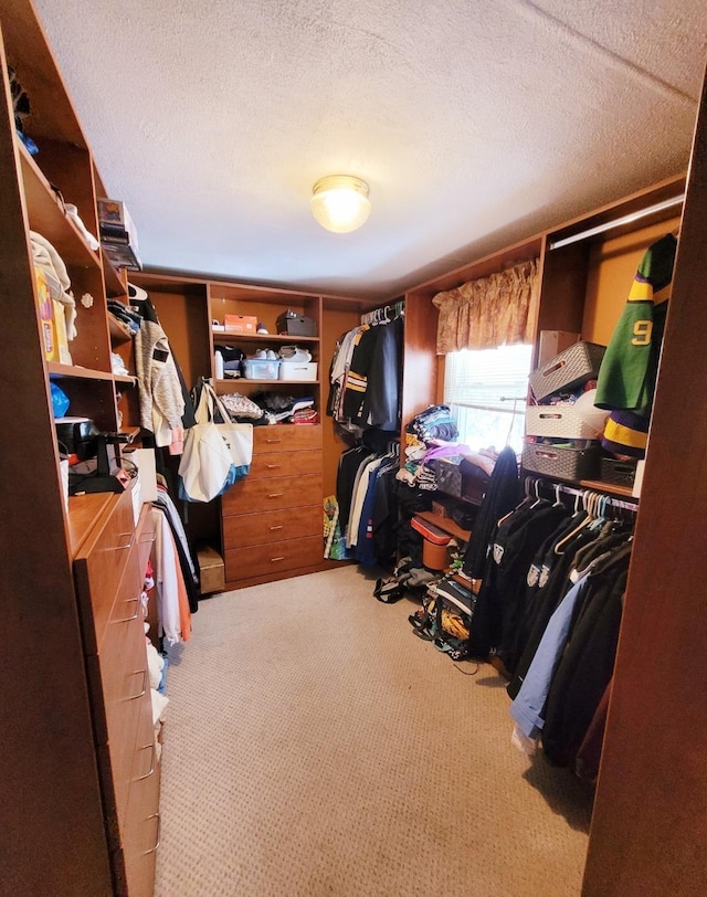 walk in closet featuring carpet floors