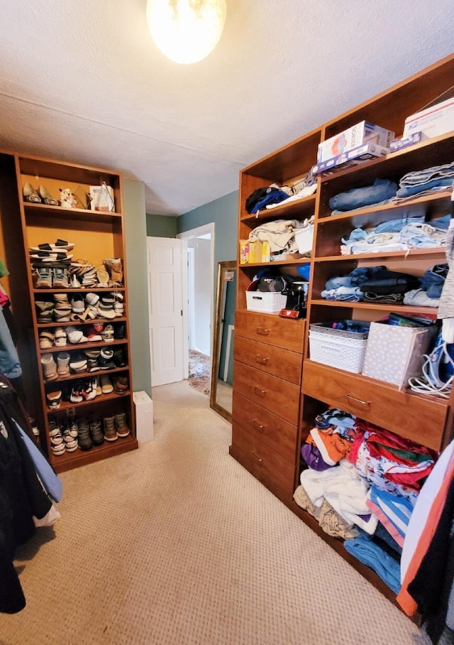 spacious closet featuring light carpet