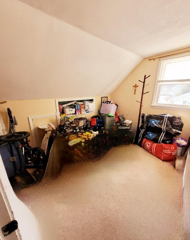 bonus room with vaulted ceiling and carpet