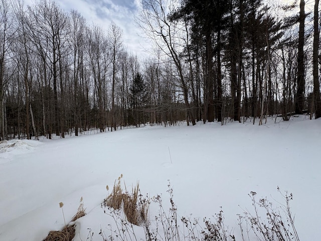 yard covered in snow featuring a wooded view