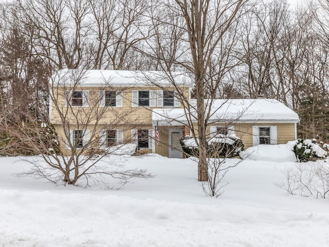 view of front facade featuring a garage