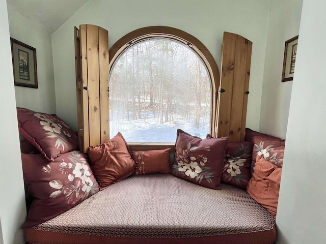 bedroom with multiple windows and vaulted ceiling