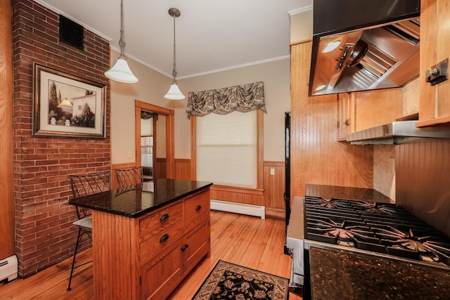 kitchen with a wainscoted wall, custom exhaust hood, baseboard heating, and ornamental molding