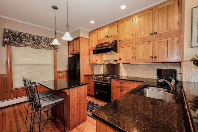 kitchen with a wainscoted wall, high end range, freestanding refrigerator, range hood, and a sink