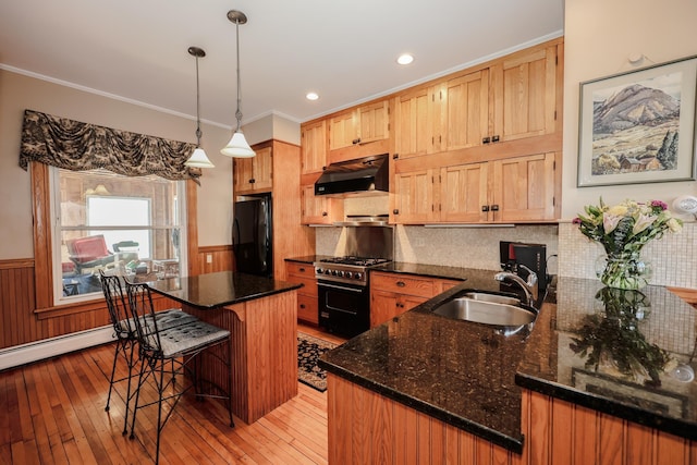 kitchen featuring stainless steel range, a wainscoted wall, freestanding refrigerator, under cabinet range hood, and a sink