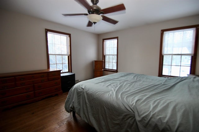 bedroom featuring dark wood-style floors, ceiling fan, and multiple windows