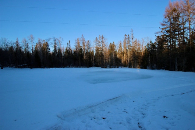 yard covered in snow with a forest view